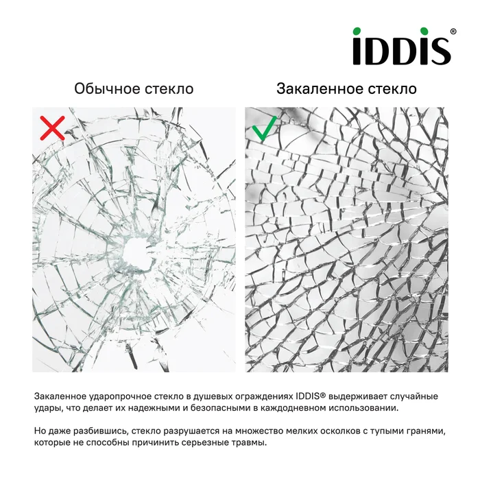 Душевая дверь IDDIS Ray распашная 890-915х1950 RAY6CP9i69