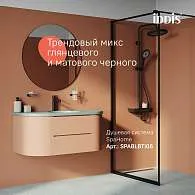 Cмеситель для раковины IDDIS Aiger черный глянцевый AIGGB00i01