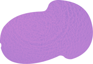 Хромотерапия