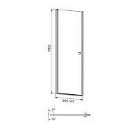 Душевая дверь IDDIS Ray распашная 890-915х1950 RAY6CP9i69