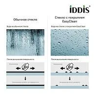 Душевая дверь IDDIS Ray распашная 890-915х1950 RAY6CP9i69